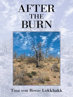 cover image of After the Burn